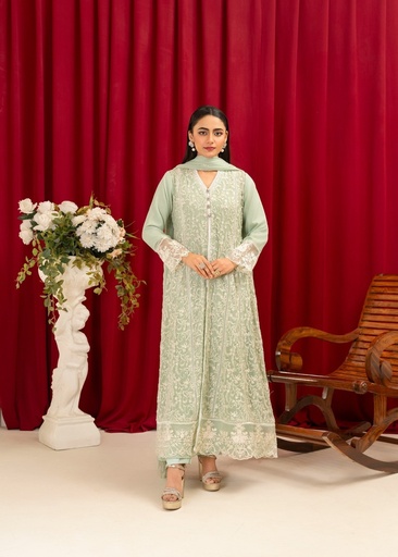 [AHA0798] Gown in Mint green by Manahils