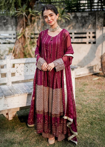 [VQP6862] Gown in Plum by Rang-e-Haya