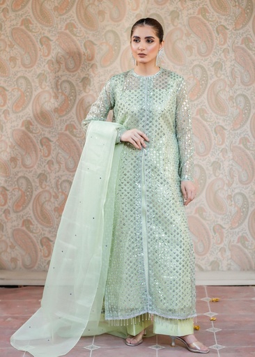 [DPB6476] Gown in Mint green by Laiba Mir