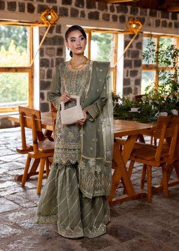 Organza Gharara in Mint green