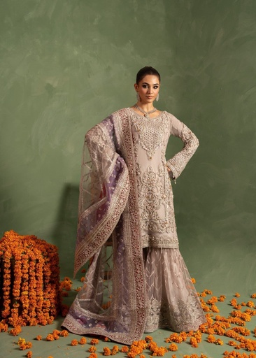 Net Gharara in Pastel pink