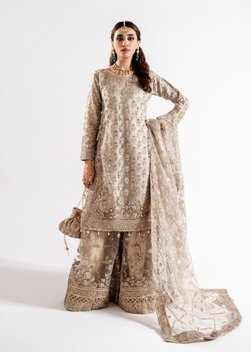 Net Kurta Set in Beige