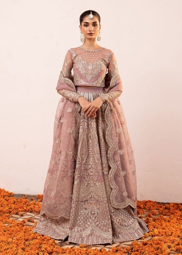 Organza Lehenga in Pink