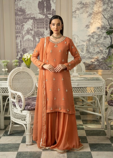 Chiffon Sharara in Rust orange
