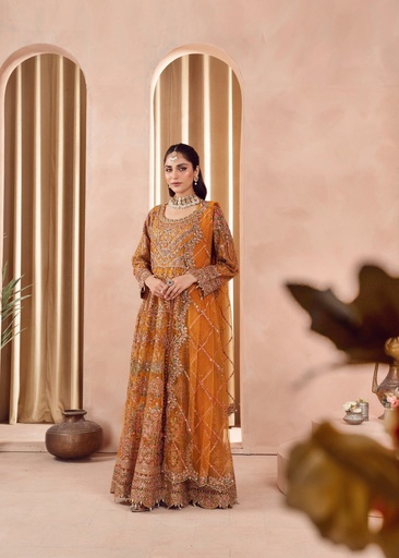 [VKY5239] Maxi in Orange by Amar