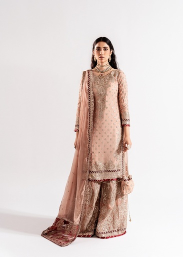 [CTQ1406] Sharara in Pink by Haseens Official